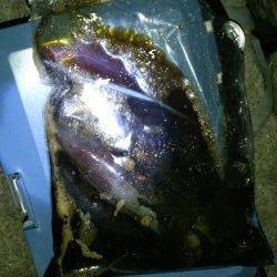 松江～藤江　風のある釣りにくい状況でのエギング釣行