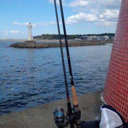 深日漁港　昼過ぎからの深日漁港　サビキのアジは好反応