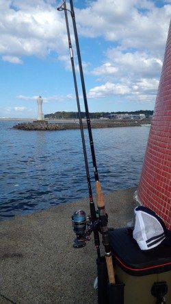 深日漁港　昼過ぎからの深日漁港　サビキのアジは好反応