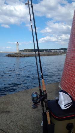 深日漁港　昼過ぎからの深日漁港　サビキのア…