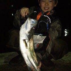 天橋立、ファミリーでシーバスルアーゲーム♪