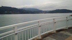 マリーナシティでのエギング釣果