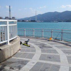 田ノ浦漁港、ちょい投げでキス＆イシモチの釣果