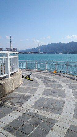 田ノ浦漁港、ちょい投げでキス＆イシモチの釣果