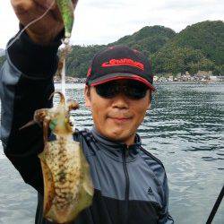 蒲入　人が多い中でのエギングでアオリイカ狙い