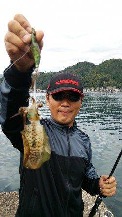 蒲入　人が多い中でのエギングでアオリイカ狙い