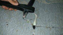 舞洲でタチウオワインド　渋い中良型も混じりました