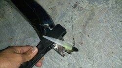 舞洲でタチウオワインド　渋い中良型も混じりました