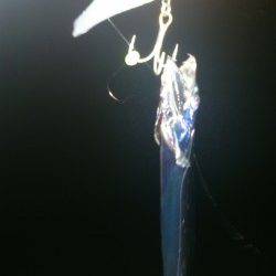 大阪南港でワインド。大潮後の回遊に期待