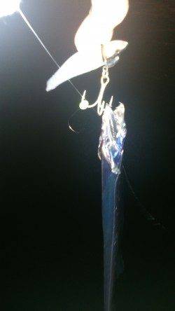 大阪南港でワインド。大潮後の回遊に期待