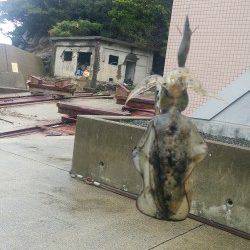 雨の中ひたすらしゃくってアオリイカ