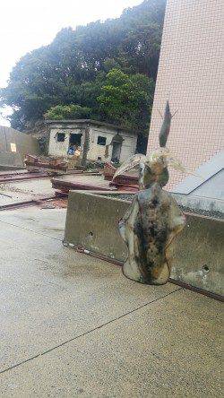 雨の中ひたすらしゃくってアオリイカ