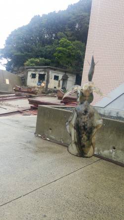 雨の中ひたすらしゃくってアオリイカ