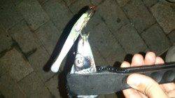 舞洲でのタチウオワインド