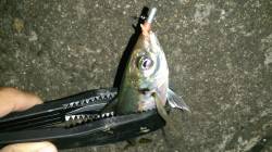 リフト＆フォールでボトムを攻めました☆南港…