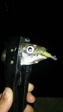 大阪南港　アジングでアジ〜18cm39匹