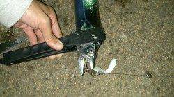 大阪南港、タチウオ回遊アリ！ワインドで大漁でした★