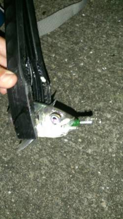 南港でアジング、レギュラーサイズを13匹