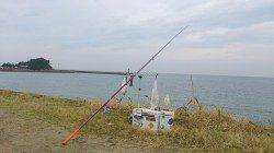 淡路、キス投げ釣り。5本針に5連も！！！