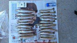 12・13と淡路でキス釣り、両日ともに20匹オーバー