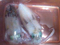 新浜漁港３時間ほどのエギング釣行、確実にサイズはアップしています