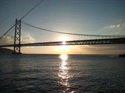 アジュールでサビキ、コンスタントに釣れました