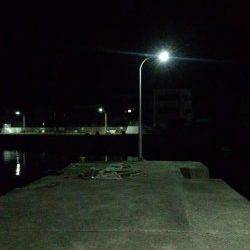 牛ヶ首周辺でのアジング釣果