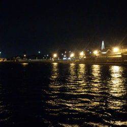 北風爆風の中底を這わせてコウイカゲット！ 和歌山マリーナシティ