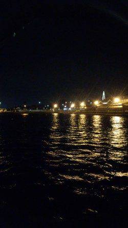 北風爆風の中底を這わせてコウイカゲット！ 和歌山マリーナシティ