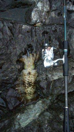 イカを求めてエギング釣行、串本のポテンシャルはすごかった!