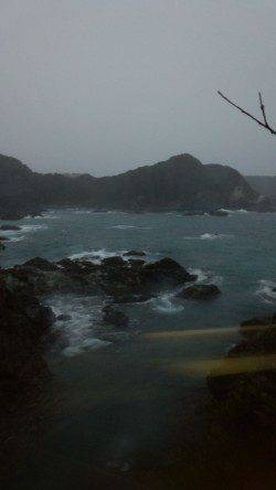 イカを求めてエギング釣行、串本のポテンシャルはすごかった!