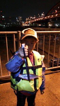 北公園にてサビキ釣り　ポツポツですがなかなかのサイズです