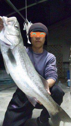 日高川河口で自己タイ記録の75㎝のスズキ!!