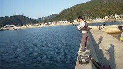 すさみ港で大物と格闘！フカセ&サビキ釣行