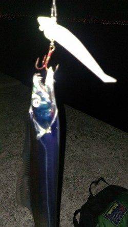 昨日夕方のリベンジに早朝4時半起きでワインドへ