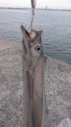 昨日夕方のリベンジに早朝4時半起きでワインドへ