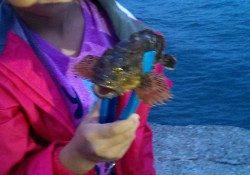 岩屋周辺でのファミリーエギング