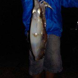 岩屋周辺でのファミリーエギング