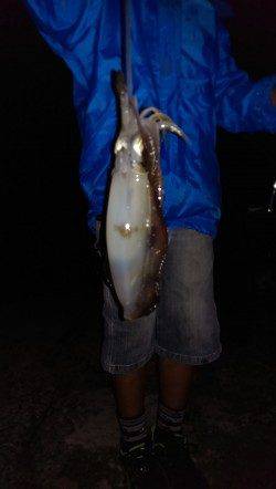 岩屋周辺でのファミリーエギング