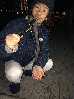 キビナゴをエサにガシラ27㎝&アナゴ