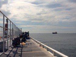 姫路市立遊魚センターでのウキ釣り・サビキの釣果