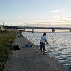 ちょい投げファミリーフィッシング、ハゼ&キビレ