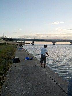 ちょい投げファミリーフィッシング、ハゼ&キビレ