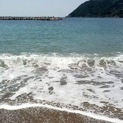 日中のサーフエギング　トンカツサイズを3バイ