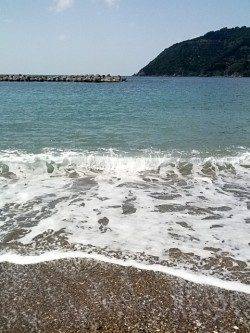 日中のサーフエギング　トンカツサイズを3バイ