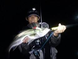 天橋立シーバス、アタリ～バラシ多数で最後に…