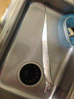 兵庫突堤でワインド、指3本75cmのタチウオＧＥＴ！