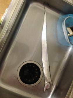 兵庫突堤でワインド、指3本75cmのタチウ…