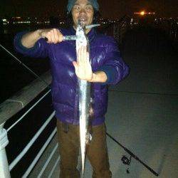 大阪南港でワインド、よくアタってタチウオ７本