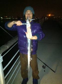 大阪南港でワインド、よくアタってタチウオ７…